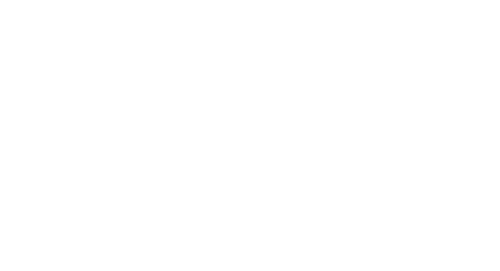 Welness House Logo